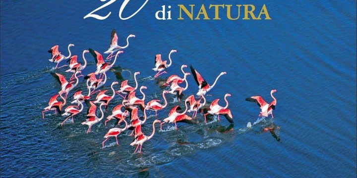 Ingrandisci la foto: Cultura: GIARDINI DELLA BIODIVERSITA’ Cultura: GIARDINI DELLA BIODIVERSITA’