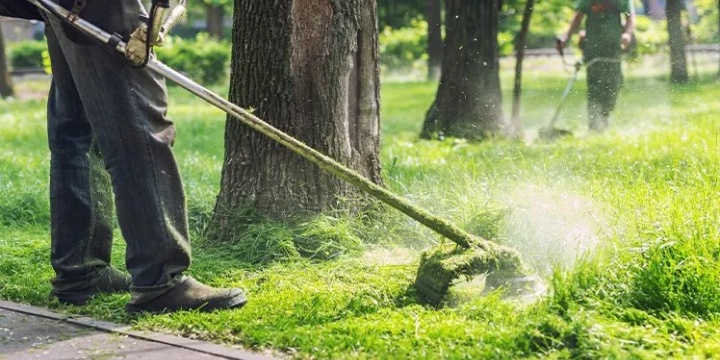 Ingrandisci la foto: Cantieri per l’aumento, la manutenzione e la valorizzazione del patrimonio boschivo. Convocazione candidati ammessi a sostenere le prove di idoneità. Cantieri per l’aumento, la manutenzione e la valorizzazione del patrimonio boschivo. Convocazione candidati ammessi a sostenere le prove di idoneità.