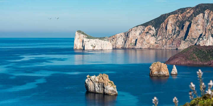 Ingrandisci la foto: Consulta il PUL Consulta il PUL