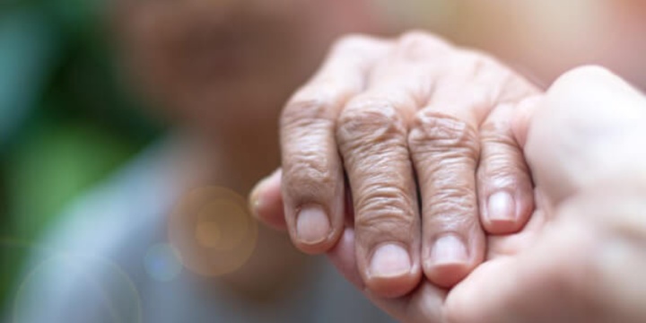 Ingrandisci la foto: AVVISO PUBBLICO INCLUDIS 2024 – Avviso pubblico tirocinanti AVVISO PUBBLICO INCLUDIS 2024 – Avviso pubblico tirocinanti