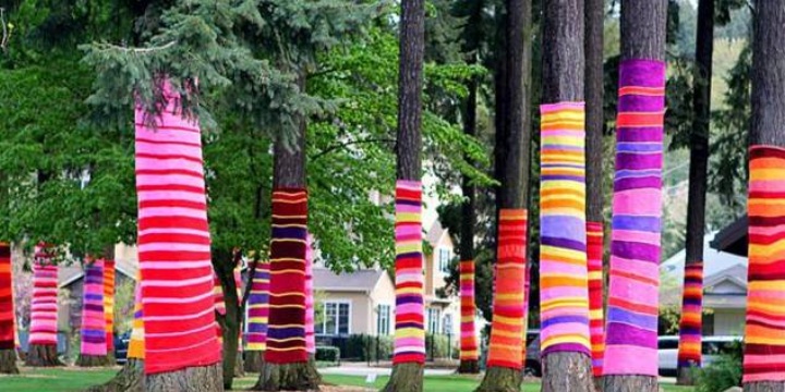Ingrandisci la foto: Vestiamo di colore i nostri alberi Vestiamo di colore i nostri alberi