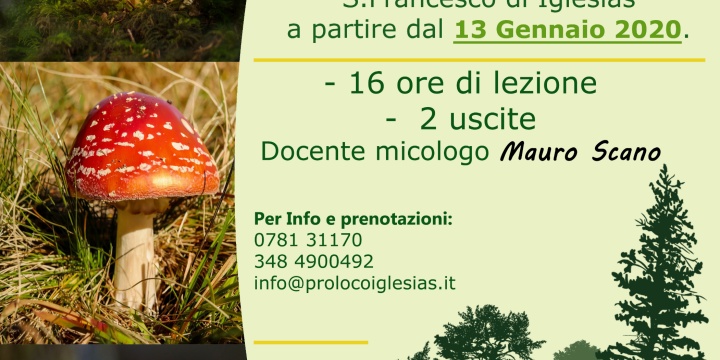 Ingrandisci la foto: Corso di micologia Corso di micologia