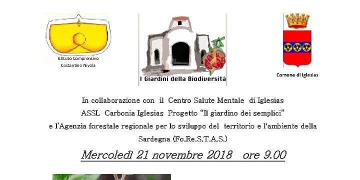 Ingrandisci la foto: Giornata nazionale degli alberi e festa dell'albero del 21/11/2018 Giornata nazionale degli alberi e festa dell'albero del 21/11/2018