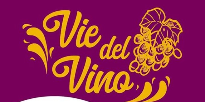 Ingrandisci la foto: Manifestazione culturale: Le Vie del Vino Manifestazione culturale: Le Vie del Vino