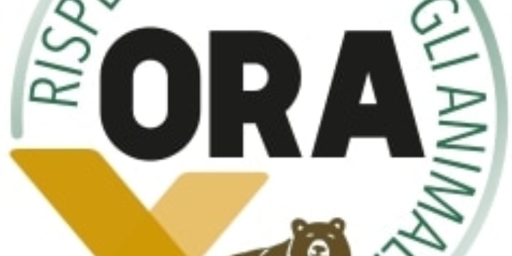 Ingrandisci la foto: Raccolta firme: "Attività venatoria legge n. 157 del 11/02/1992 e art. 842 C.C." Raccolta firme: "Attività venatoria legge n. 157 del 11/02/1992 e art. 842 C.C."