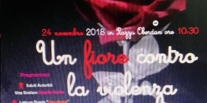 Ingrandisci la foto: "Un fiore contro la violenza" "Un fiore contro la violenza"